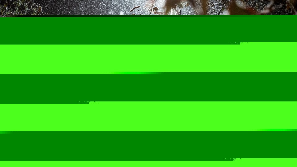 "Kışın en sert dönemine giriyor olabiliriz!"