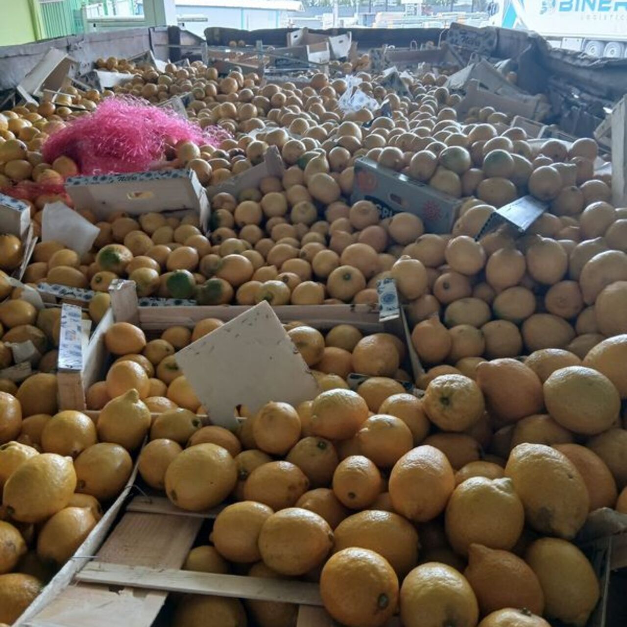 55 ton limon imha edildi