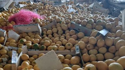 55 ton limon imha edildi