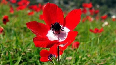  Cemre düşme tarihleri 2025