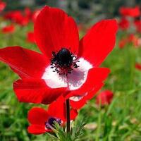 Cemre düşme tarihleri 2025