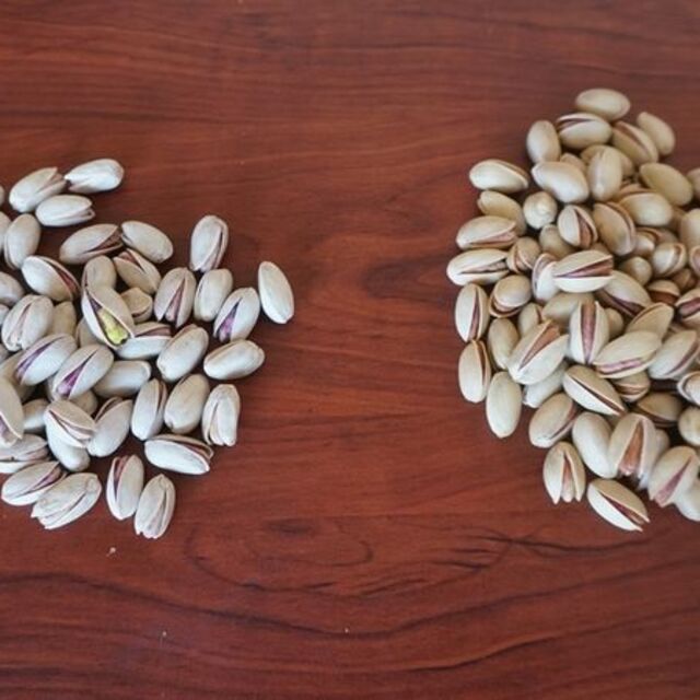  'Kaçak İran fıstığı' uyarısı: Aflatoksin içeriyor