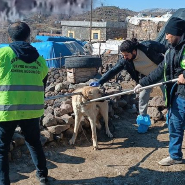 Kuduz köpek saldırısı: Bölgede karantina!