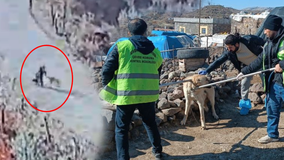 Kuduz köpek saldırısı: Bölgede karantina!