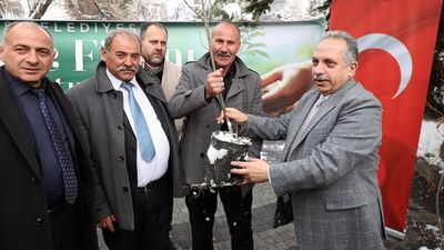 Başkan Yalçın, muhtarlara kestane fidanı dağıttı