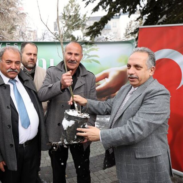 Başkan Yalçın, muhtarlara kestane fidanı dağıttı
