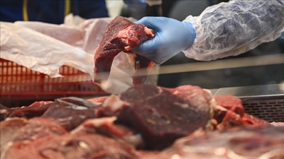 "Kırmızı ete yüzde 10-15 zam yolda"