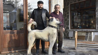 1 yılda tamamladı! Müşterilerden yoğun ilgi