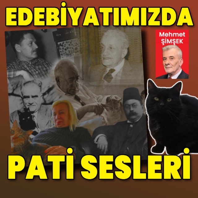 Edebiyatımızda pati sesleri