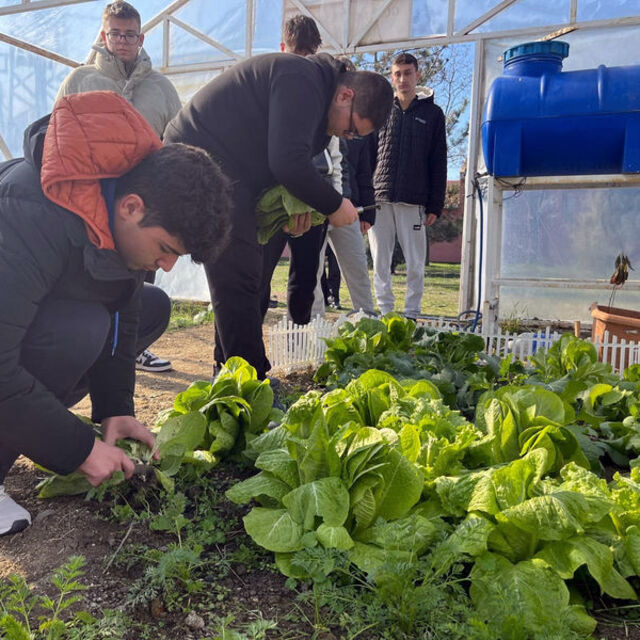 Liseler okul bahçesinde çiftçiliği öğreniyor