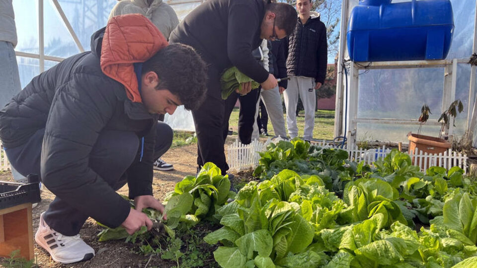 Liseler okul bahçesinde çiftçiliği öğreniyor