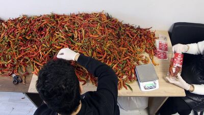 Kadınların projesi örnek oldu