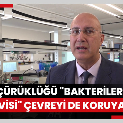 Pancarda kök çürüklüğü hastalığının "bakterilerle tedavisi" çevreyi de koruyacak