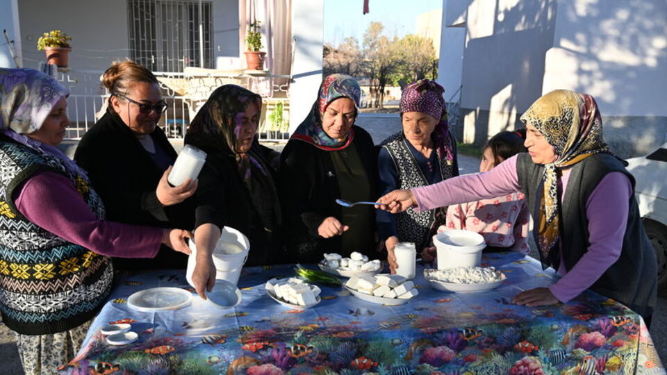 Osmaniye'de köylü kadınların hedefi mandıra