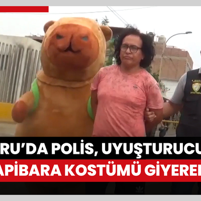 Peru’da polis, uyuşturucu satıcısını kapibara kostümü giyerek yakaladı