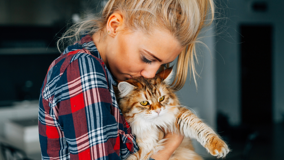 Bir kedi insan sağlığına nasıl iyi gelir?