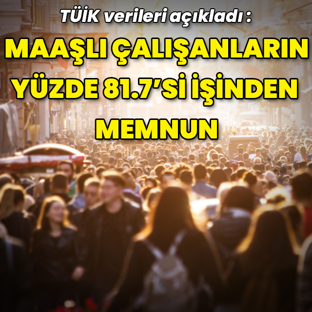 TÜİK: Ücretli çalışanların yüzde 81,7'si işinden memnun