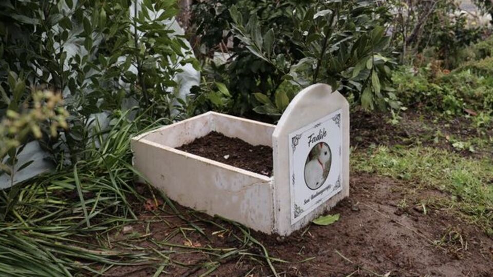 Ölen tavşanları 'Fadile' için mermer mezar yaptırdılar