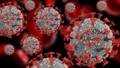 Prof. Dr. Kara'dan çarpıcı influenza açıklaması!