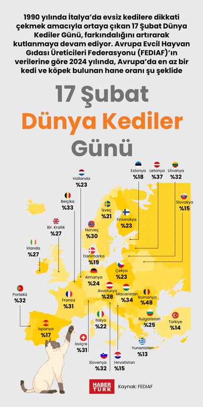 17 Şubat Dünya Kediler Günü