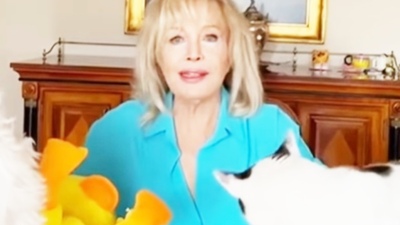 Kediler Günü'nü kutladı