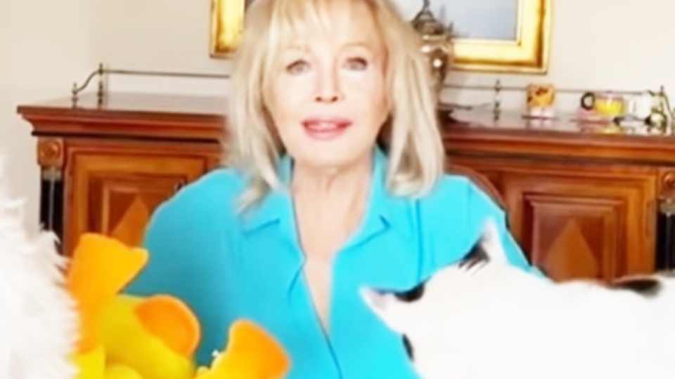 Kediler Günü'nü kutladı