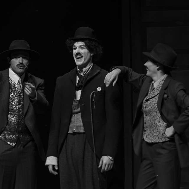 17 varis onaylı 'Chaplin'