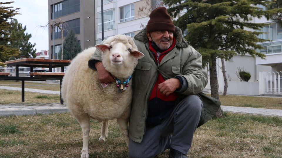Kuzuyken aldı, 4 yıldır yanından ayrılmıyor