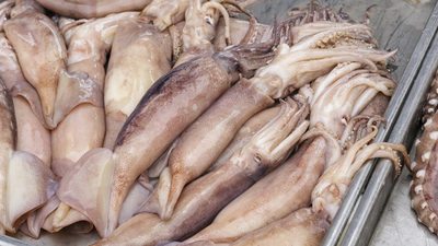 Mürekkep balığı yenir mi?