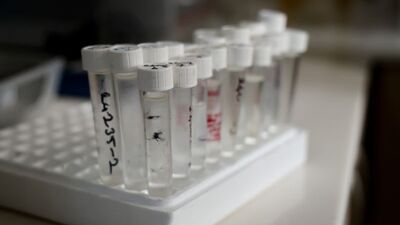 Ölüm içkisinde bilanço ağırlaşıyor!