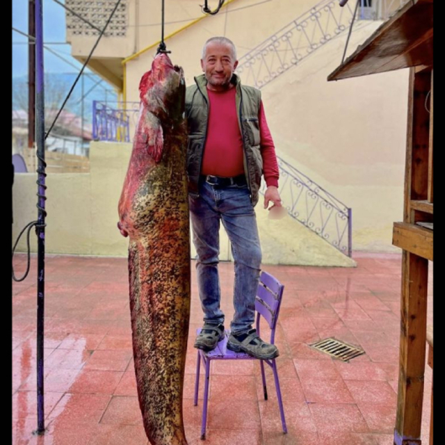 Sinop'ta avlandı: 100 kilogram