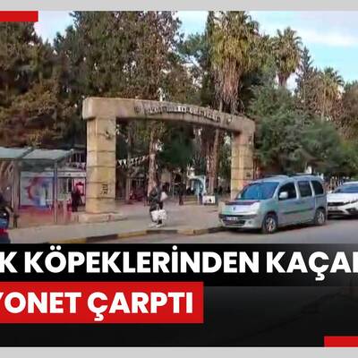 Sokak köpeklerinden kaçarken kamyonet çarptı: Kaza anı kamerada
