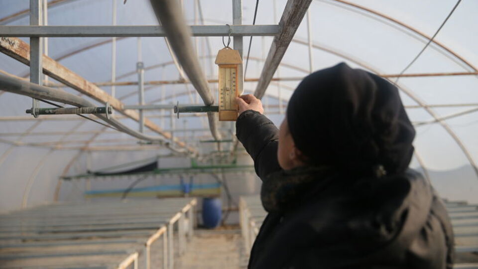 Seraları kaloriferle koruyorlar