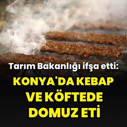 Konya'da kebap ve köfteden domuz eti çıktı