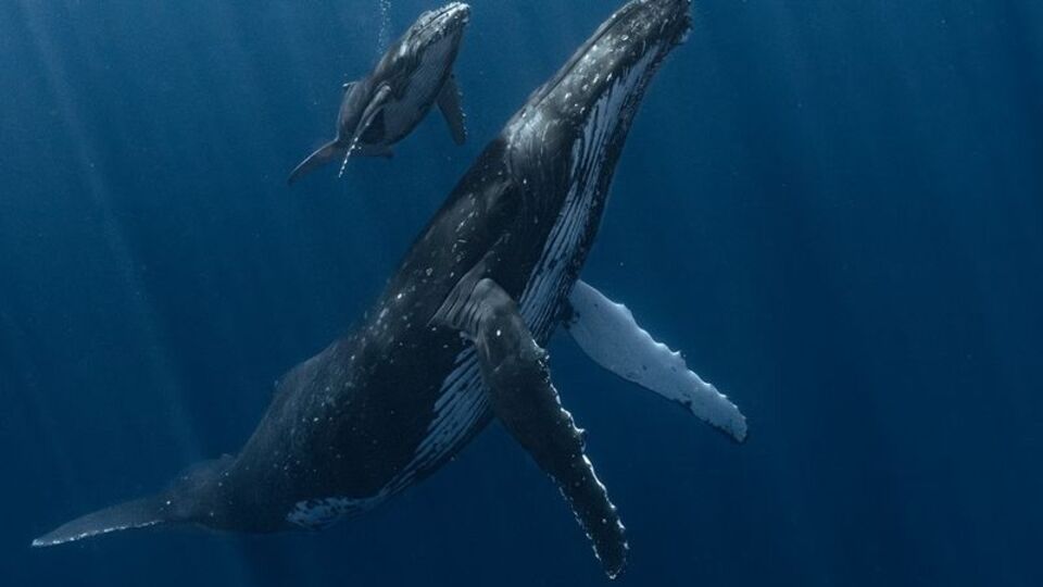 Binlerce fotoğraf arasından seçildi!