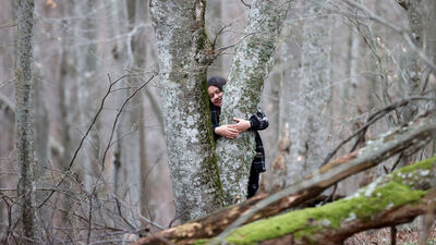 Kırklareli'nin sağlık turizmi hedefi: Orman banyosu