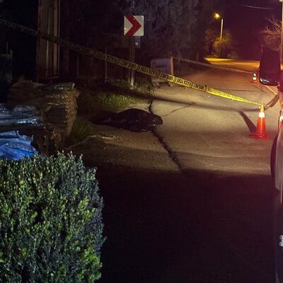 Bodrum'da trafik kazasında engelli kalan kişi, başka bir kazada öldü