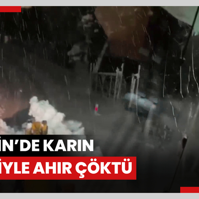 Artvin’de karın etkisiyle ahır çöktü, 50 küçükbaş hayvan telef oldu