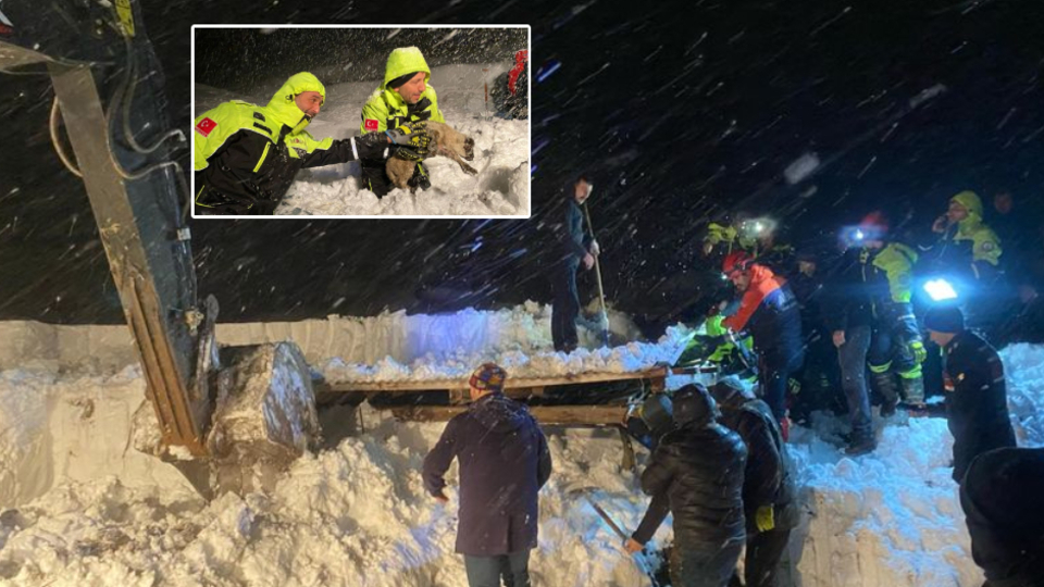 Çatısı çöken ahırda can pazarı!