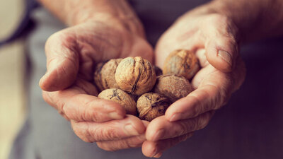 Kelebeklenen ceviz yenir mi?
