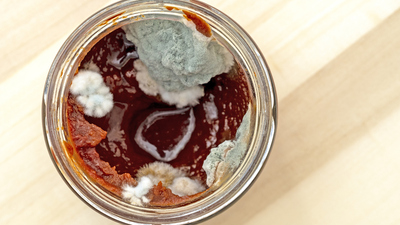 Küflü salça yenir mi?