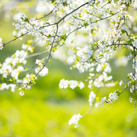 İkinci ve üçüncü cemre ne zaman düşecek?