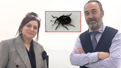 Böcek ama çok anlamlı... Adı: Neslihanae