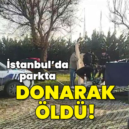 İstanbul'da vahim olay! Parkta alkol alıp uyudu! Donarak öldü!