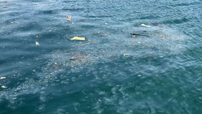 Kirliliği ve aşırı avlanmayı gündeme getirdi