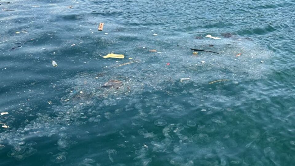 Kirliliği ve aşırı avlanmayı gündeme getirdi