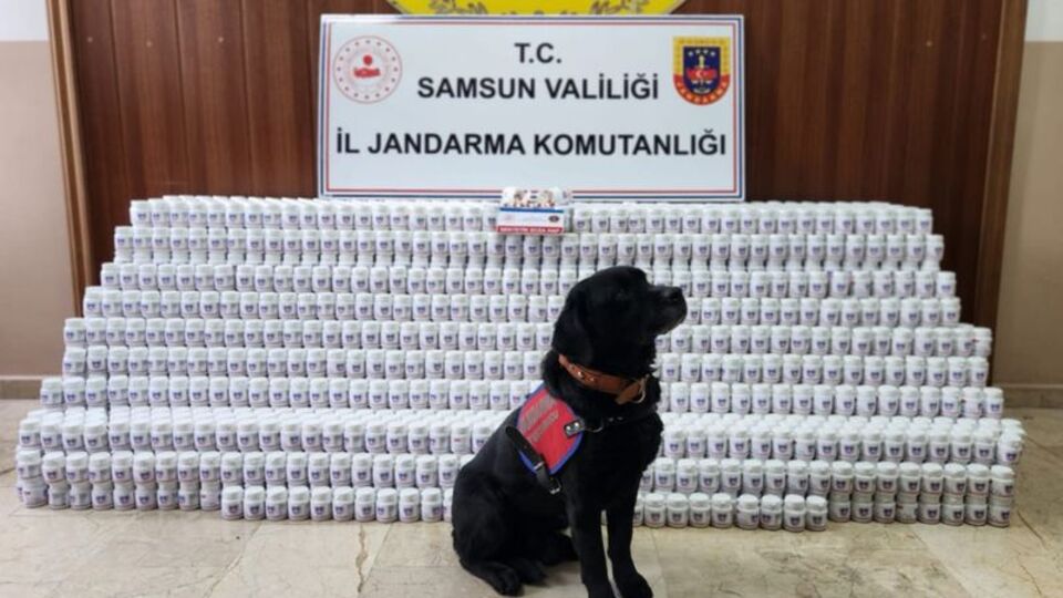170 bin 755 kapsül sentetik ecza hapı ele geçirildi
