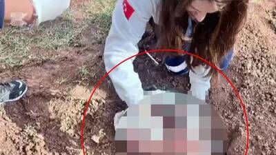 Yeni doğan bebeği boğup araziye attı!