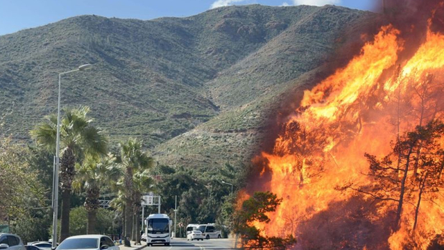 Marmaris'te 3 yıl sonra doğa canlandı