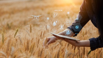 Anadolu Efes'ten Onarıcı Tarım Kılavuzu